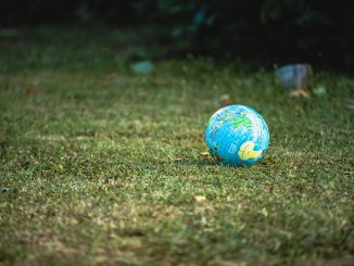 blue and white desk globe on green grass field during daytime