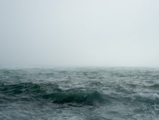 sea, fog, ocean
